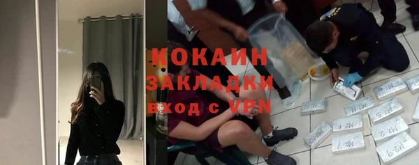 прущие грибы Лихославль
