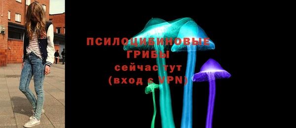 дмт Липки