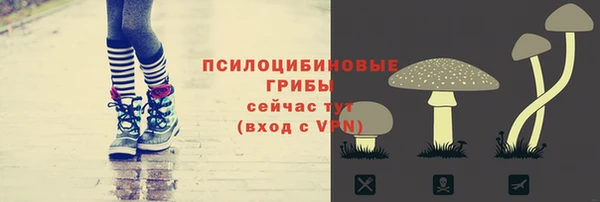 дмт Липки