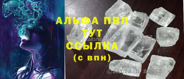 прущие грибы Лихославль
