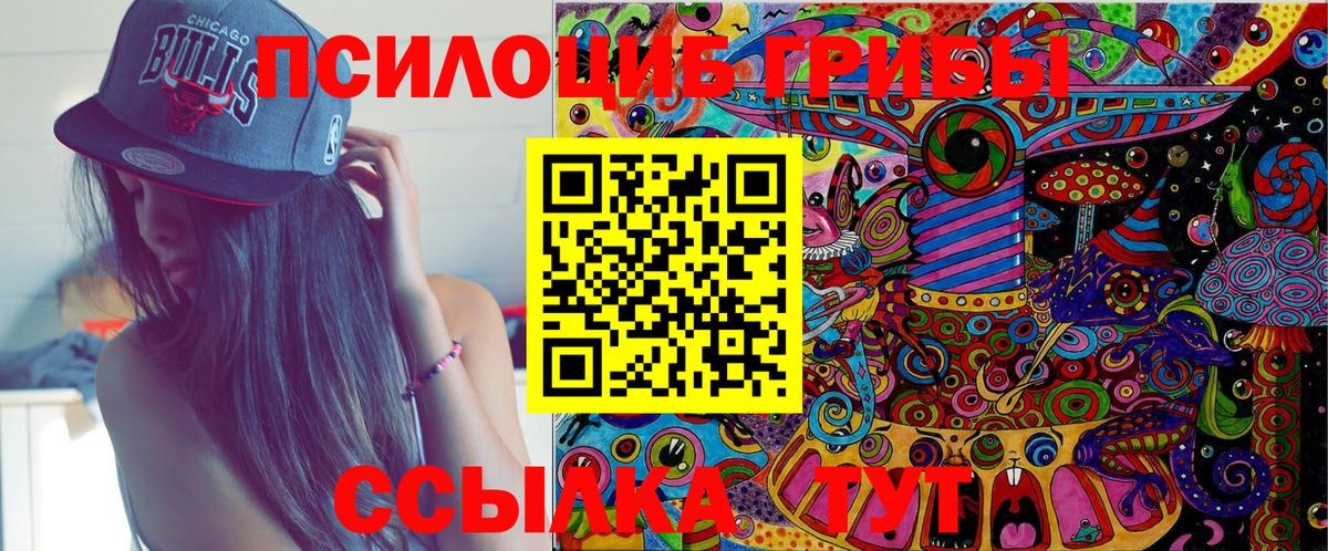 Псилоцибиновые грибы прущие грибы Чайковский