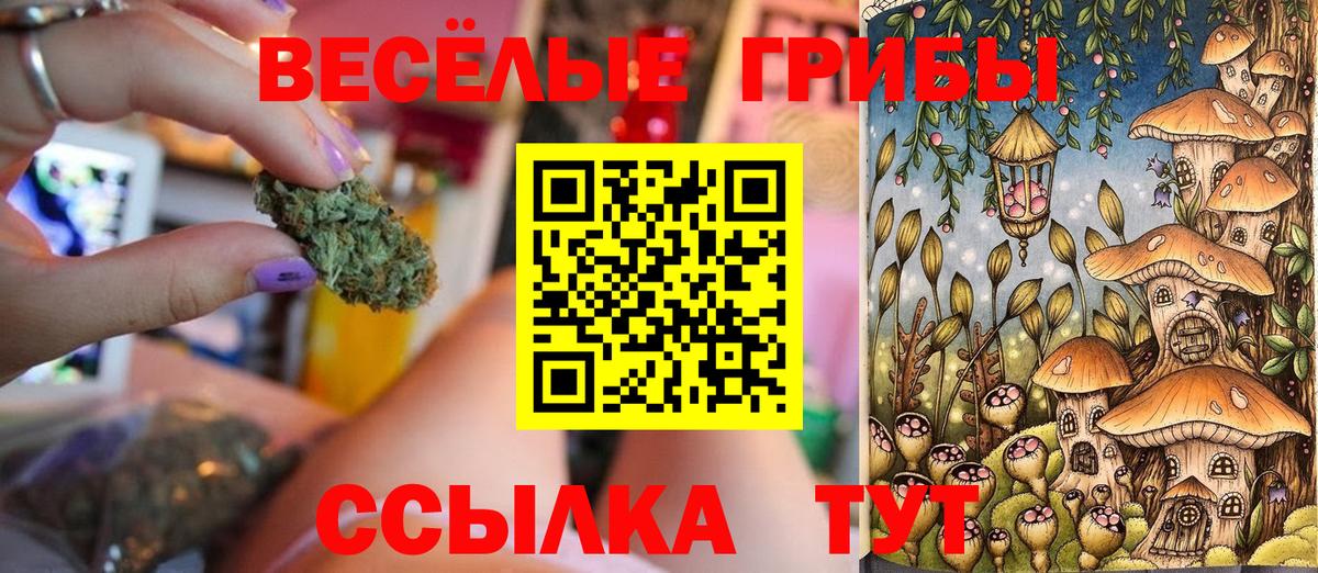 Псилоцибиновые грибы ЛСД  Галлюциногенные грибы Psilocybe  Чайковский  Вход с VPN 