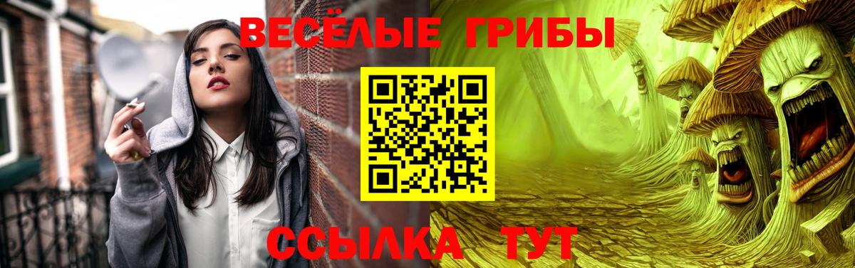 Псилоцибиновые грибы ЛСД Чайковский